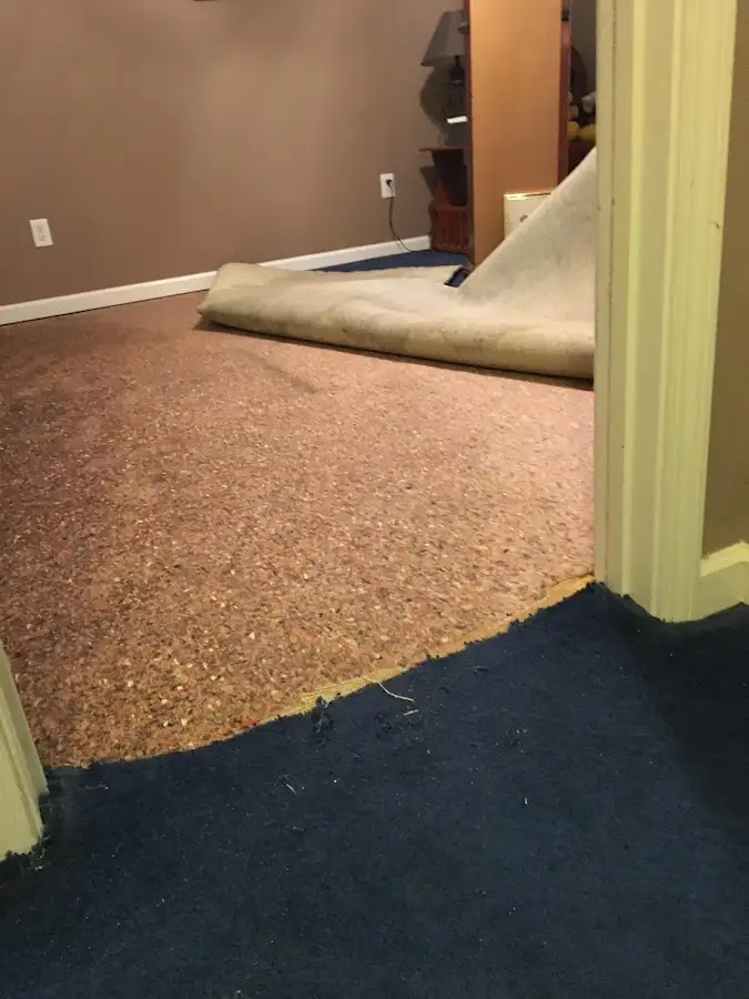 Carpet pad removal revealing water damage during Water Mitigation Services in Carpinteria