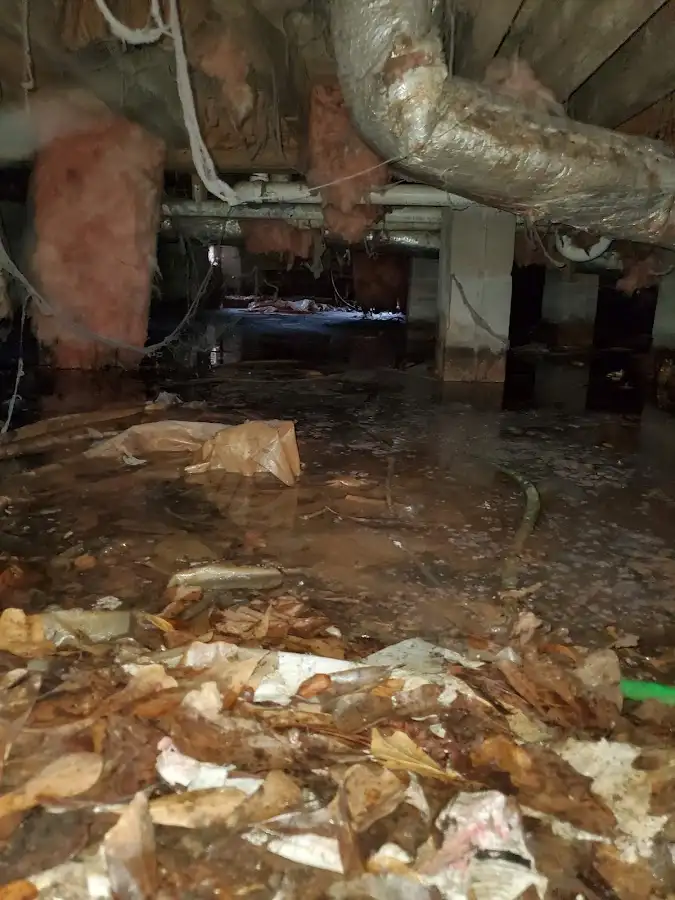 Crawl space flood assessment for Leak Detection & Repair in Carpinteria